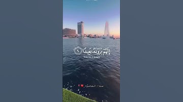 حالات واتس اب قرآن كريم تلاوات خاشعه ❤️