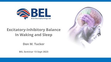 Science Talks: Excitatory Inhibitory Balance In Waking and Sleep