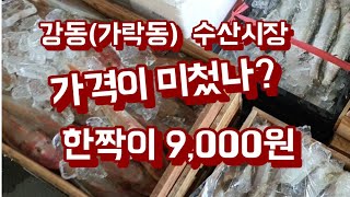 가락동수산시장/ 짝에 9,000원/고물가 시대 미첬나봐!