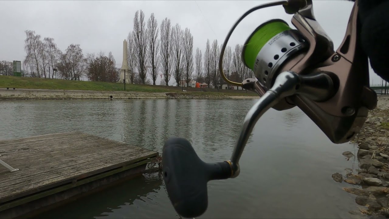 Győr belváros adja a halat... - horgászat Kirillel 12.28