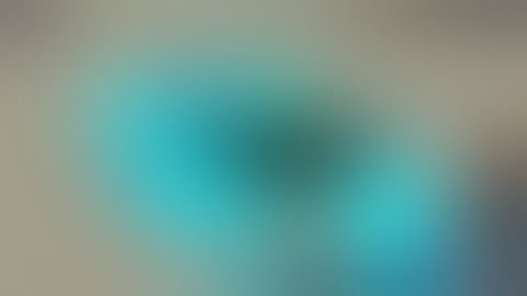 Glorilla- PROCEDURE (ft. Latto) (Official Music Video)