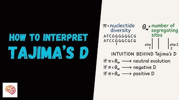 How to Interpret Tajima