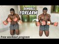 5 Exercises to build your Forearm at home (Dumbbell only) - Free workout program