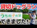 【大発表】貸切ドッグラン「うちの子の庭」ついに広島にOPEN!|犬と子供が一緒に全力で遊べる場所を作りました【施設ツアー】