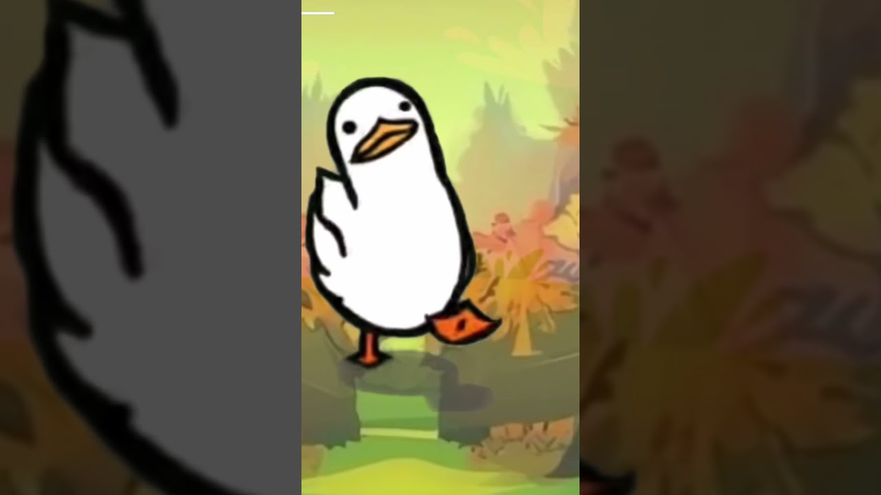 Duck I’m sorry I know your used to seeing car on my channel