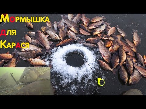 Зимняя рыбалка 2018 ГЛУБИНА 30см В ЭТОЙ ЛУЖЕ ловля карася зимой