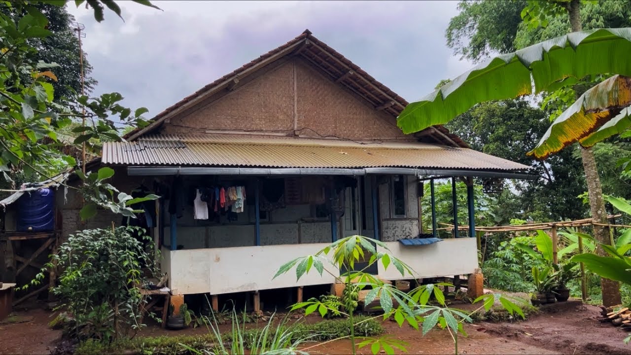 Когда в деревне идёт дождь, становится так спокойно и прохладно в прохладном воздухе.