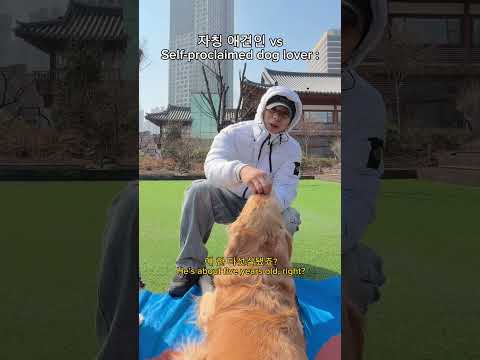 개 좋아하기만 하는 사람 vs 개를 잘 알고 좋아하는 사람