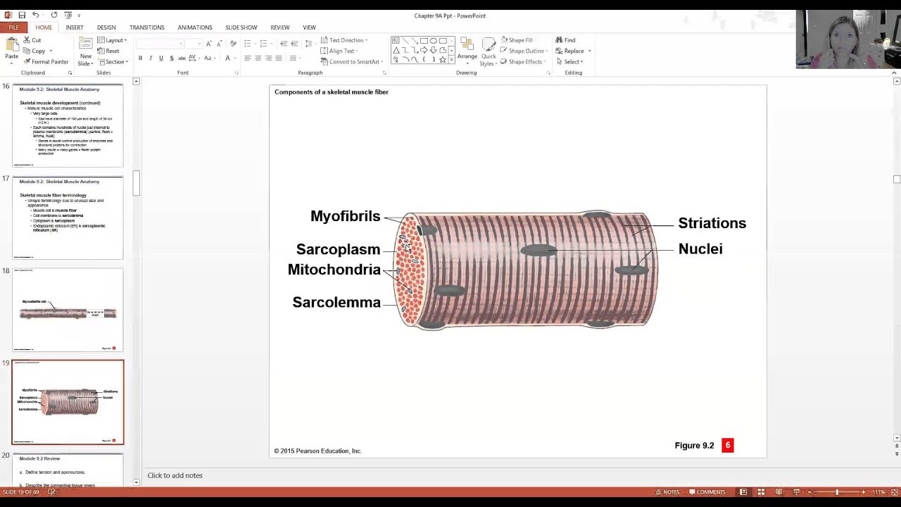 Skeletal Muscle Physiology Part 1 - YouTube