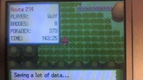 1/8192 Chance Shiny Poochyena in non-Shiny patch!