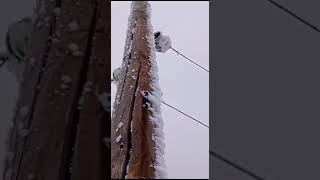 Энергетики в Дагестане устраняют последствия снегопада в горных районах