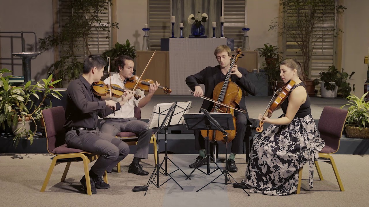 Schumann Quartet Op. 41 No. 3 1st movement