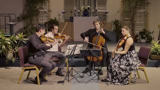 Famous Schumann Quartet Op. 41 No. 3 1st movement Wealth