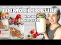 Domc jogurt krok za krokem den na chalup vroba sru vlog