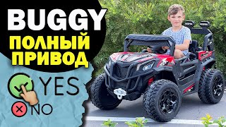 :  BUGGY RF 101   