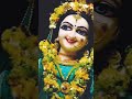Meri binti yahi hai Radha Rani 🙏🙏 #music #song #shyam #radhakrishna #