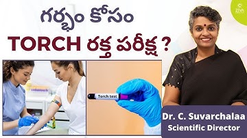 గర్భం కోసం TORCH రక్త పరీక్ష|| TORCH Test Before Pregnancy || Screening Test || Dr C Suvarchalaa