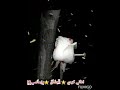 اجمل اغاني كردي حزينه زينبي 