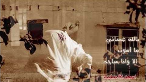 الشيخ / هاني الرفاعي سورة يوسف 2