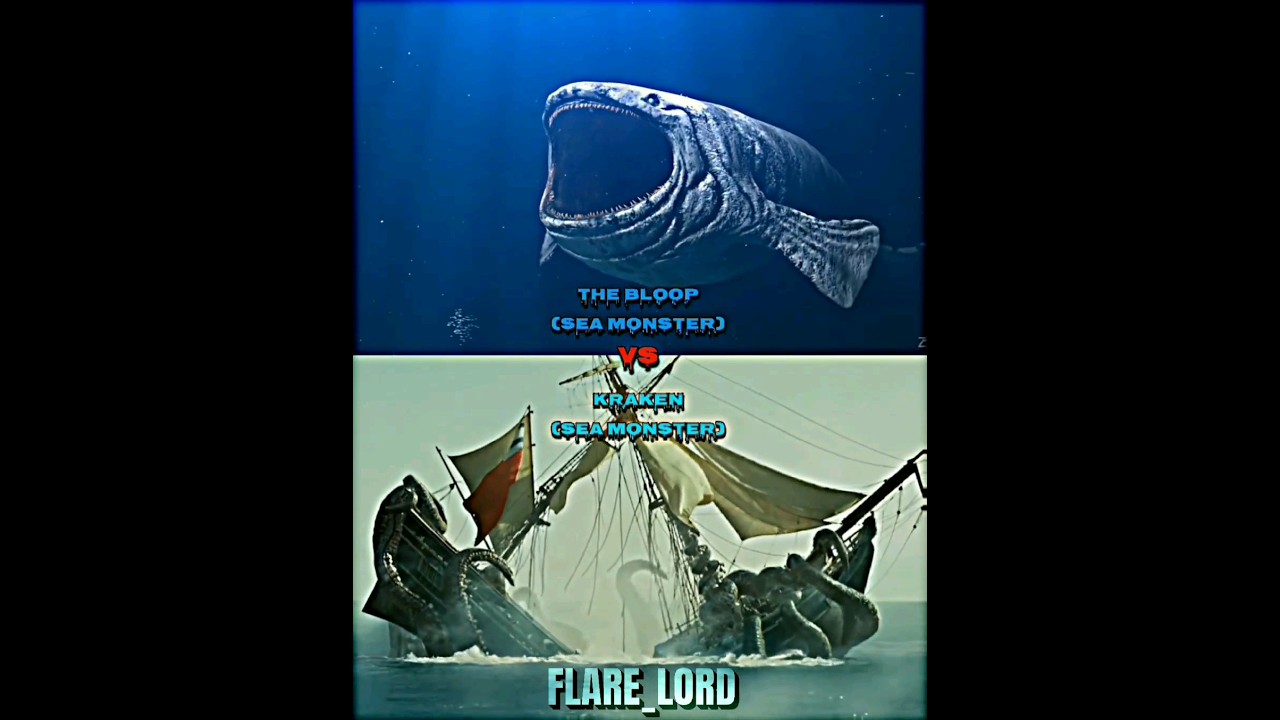 THE BLOOP VS KRAKEN 