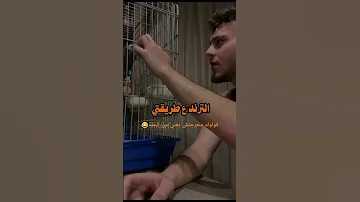 قولوله مخرجتش يعني من الجنة ترند الولاعة ترند عضة عنتور الشامي اكسبلور Music جديد Alshami 