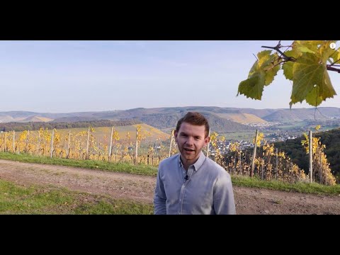 Nicolas Weber vom Weingut Margarethenhof in Ayl | VINOSAAR Kurzporträt ...