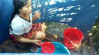 Txiav Tawg Los Da Dej Nawb