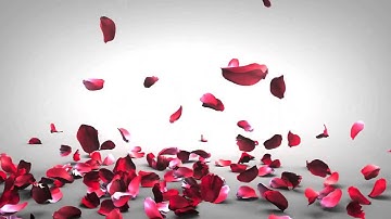 سورة يوسف كاملة / القاريء محمد عباس