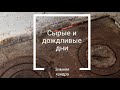 Сырые и дождливые дни // Зимняя хандра