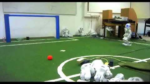 Nao robot defending his goal