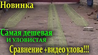 Раколовка дорожка маленькая да удаленькая!