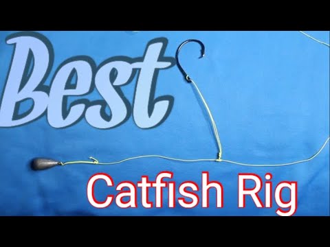 BEST CATFISH RIG 