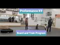 Board and train program at proformance k9