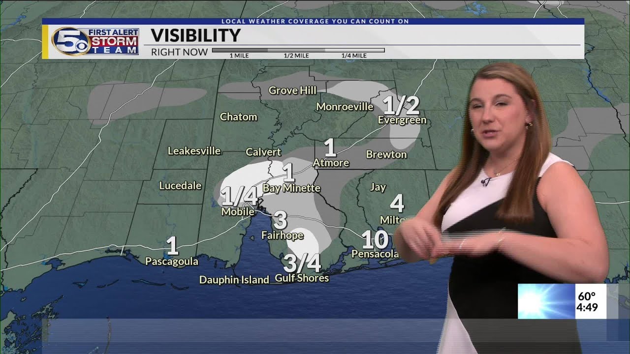 FORECAST | A Few Storms, Foggy