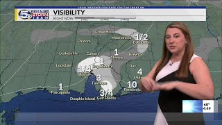 FORECAST | A Few Storms, Foggy