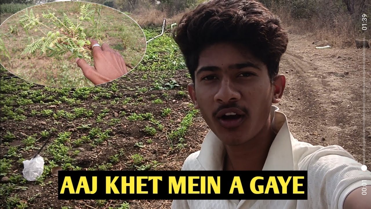 Aaj khet mein a gaye 🌾 @adityavlogs14 #Vlog #DailyVlog #LifestyleVlog #indianVlogger #YouTubeVlog 