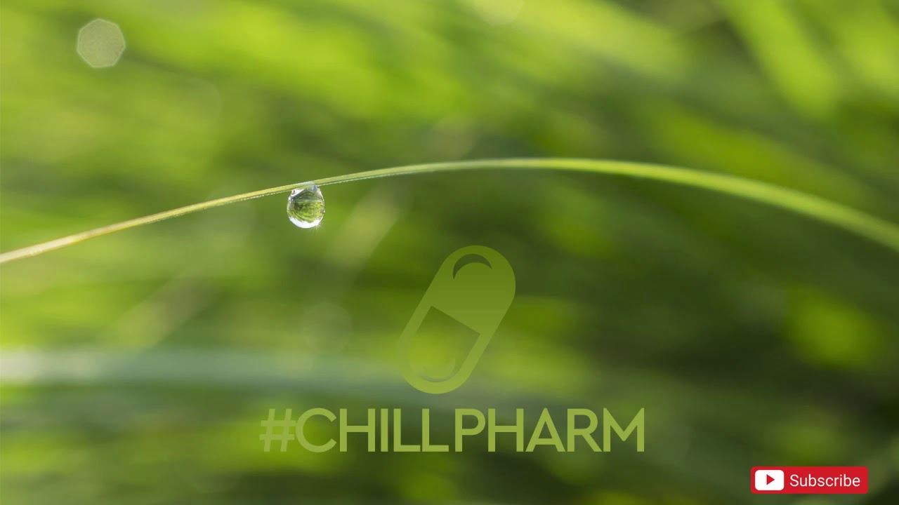 Densky9 - Seba Quest