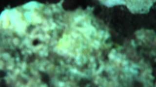 DSCF1249.AVI