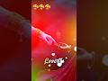 Bajrangdal shorts Ayush Kumar #radhe #krishna #hd #status #viral #shorts