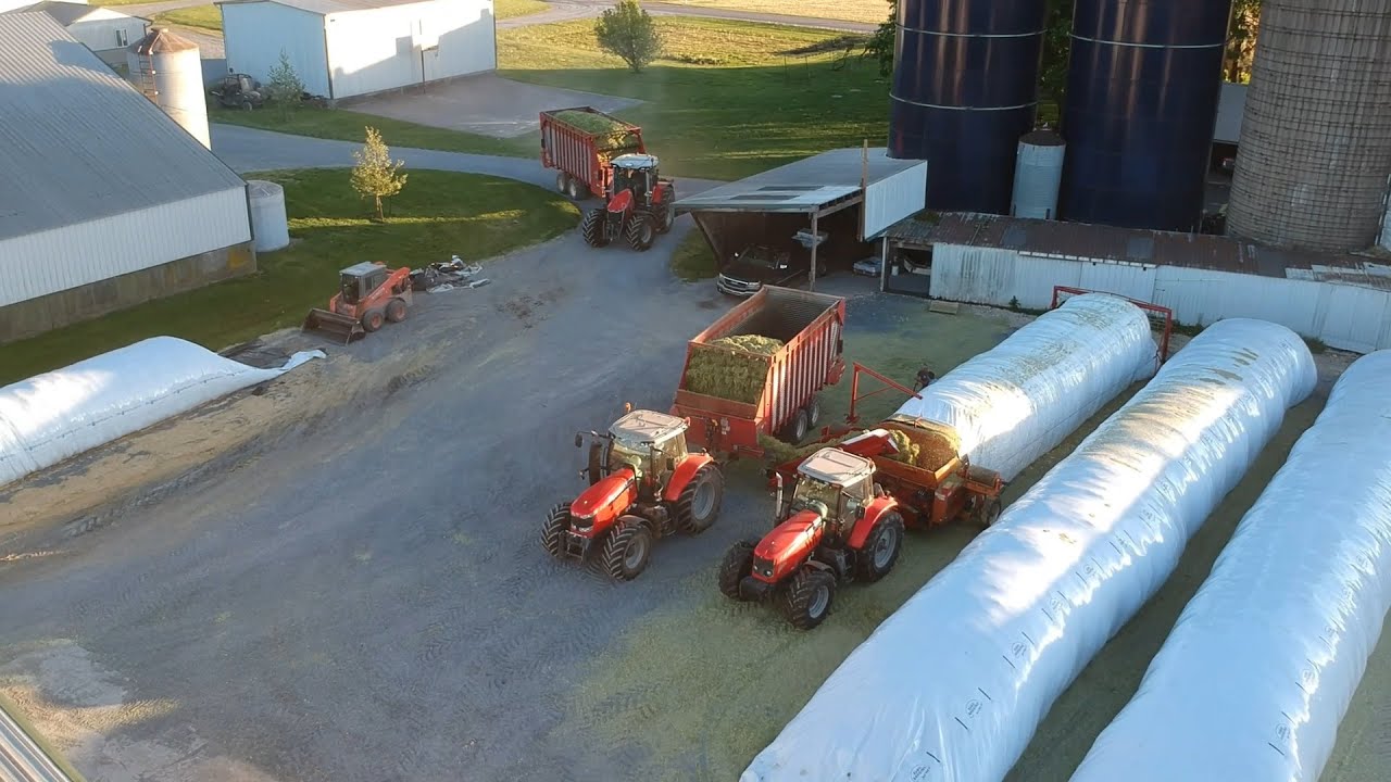 Triticale Harvest | Filling Silo & Ag Bags