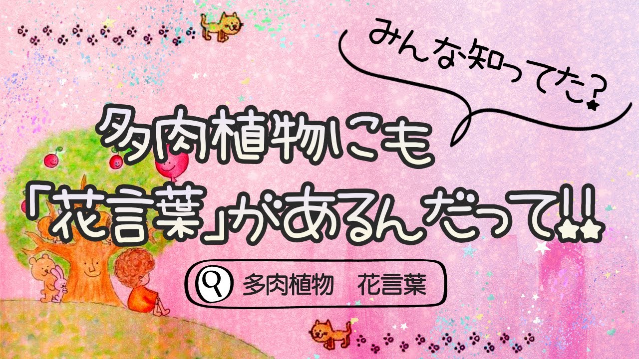 多肉植物 多肉にも花言葉があるんだって Youtube