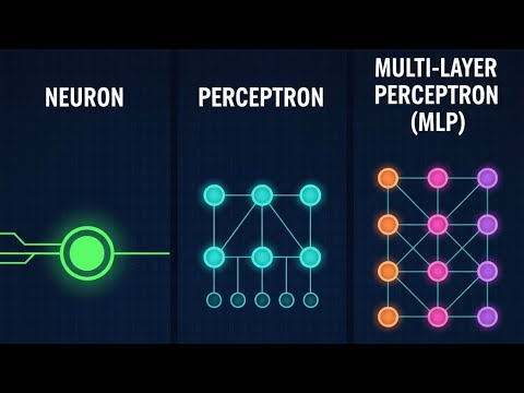 Neuron, Perceptron, and MLP Explained Simply