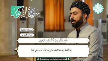 سورەتی التکویر قورئان خوێن هەڵۆ ئەمین 🍀 تلاوة خاشعة سورة التكوير كاملة بصوت القارئ هلو امین الكردي