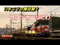 【13年ぶり】DD51とサロンカーなにわ 播但線と山陰本線を走る 往路編