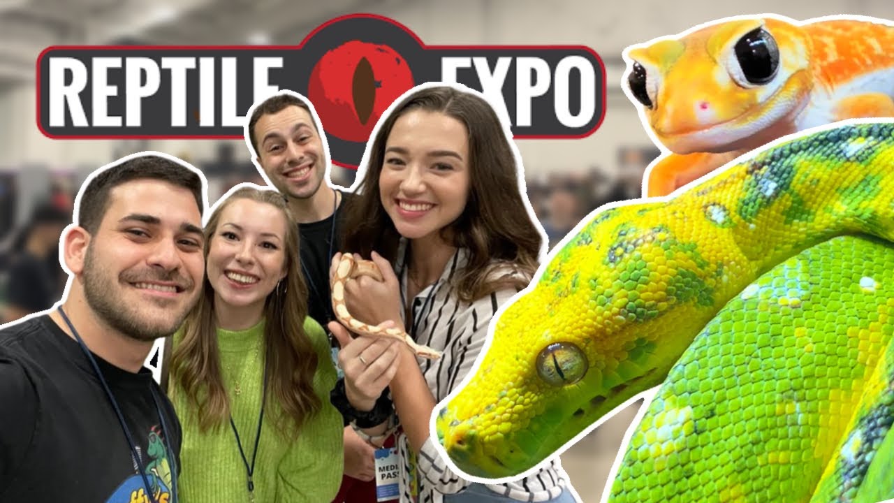 I Went to The FIRST Toronto Reptile Expo of 2023! YouTube