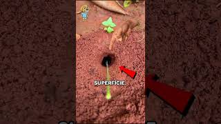 O Jeito Inusitado De Tirar Insetos Do Subsolo