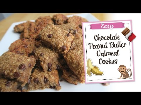 5 Ingredient Oatmeal Cookies | Dairy & Egg Free