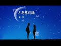 張宇 月亮惹的禍 高音質 Lyrics 動態歌詞 90年代經典流行華語歌曲 