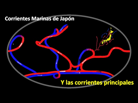 Video: ¿Por qué es importante la cinta transportadora global?