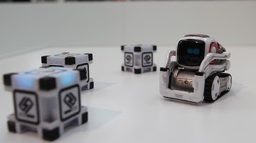 Will the future of work involve humans at all?